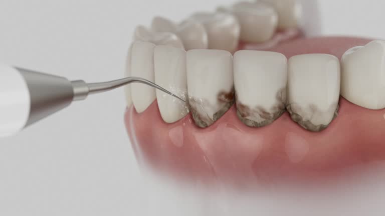 Reliable Dental contractor in Afton, WY by Dentist Open Now